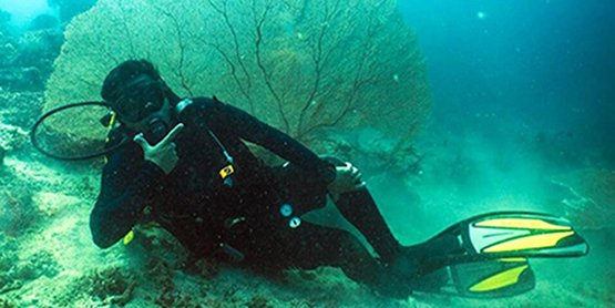 Съемка восхитительных роликов и фотографий под водой