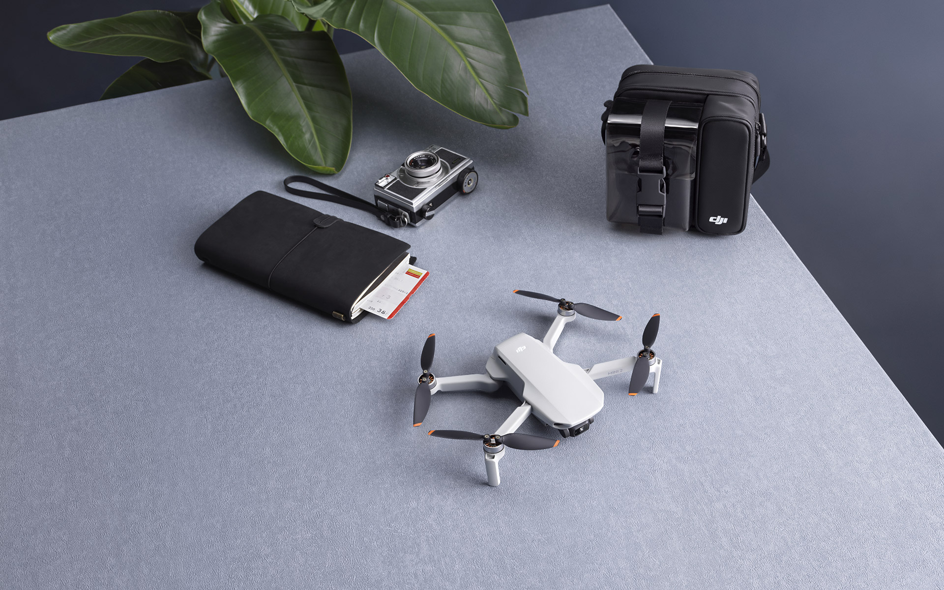 DJI Mini 2 — купить квадрокоптер с доставкой